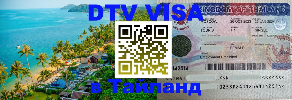 Оформление DTV визы под ключ: стоимость и тарифы, только загранпаспорт - 09.01.2026 